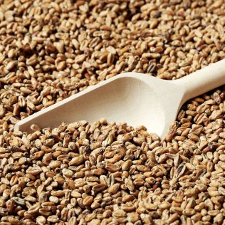 Swaen© Wheat Classic