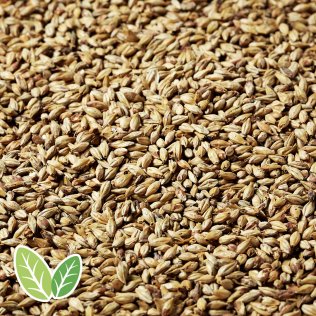 Green Swaen© Pilsner (NL-BIO-01)