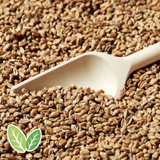 Green Swaen© Wheat Classic (NL-BIO-01)