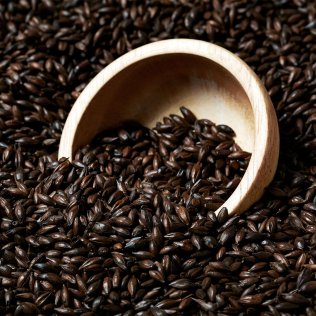Black Swaen© Barley